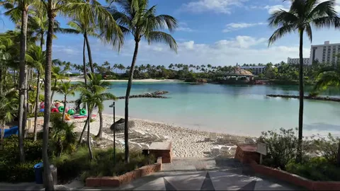Tropical lagoon with crystal-clear turquoise water, white sand beach, and tall palm trees.