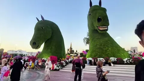 Dubai Miracle Garden