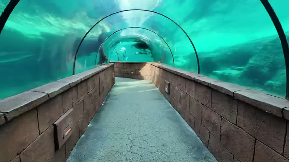 Стеклянный подводный тоннель с бирюзовой водой и силуэтами рыб.