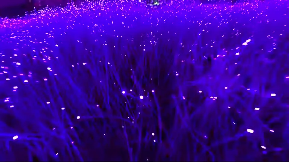Purple fiber-optic field glows with points in a dark room.