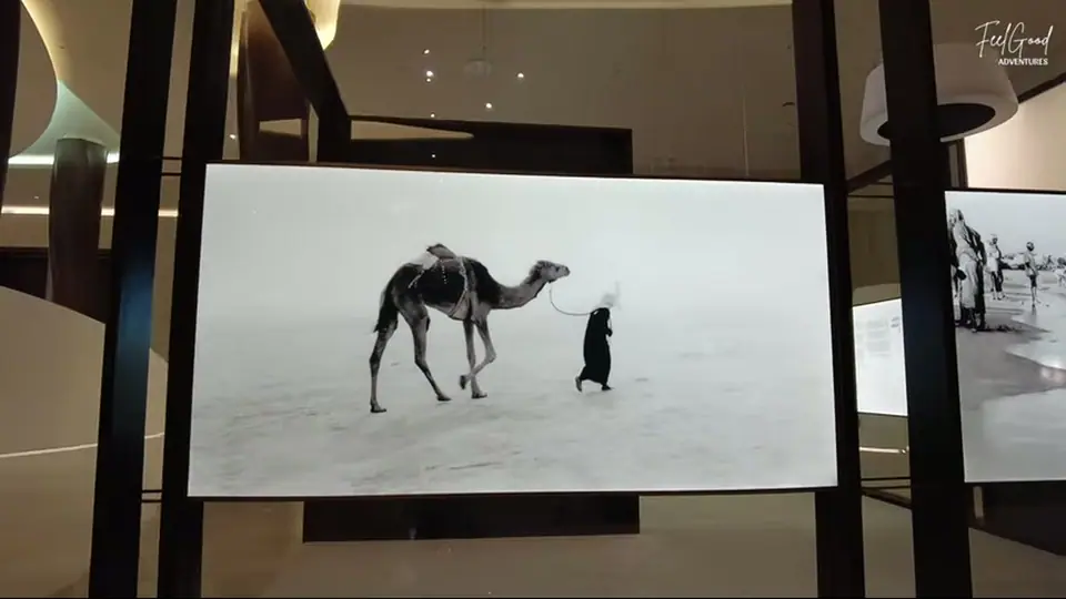 Museum screen shows a camel and guide in a pale desert landscape.