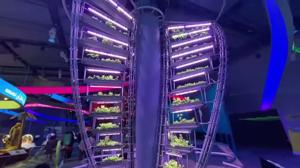 Vertical farming tower with leafy greens under purple grow lights.