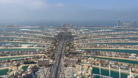 The View at The Palm — фото 2