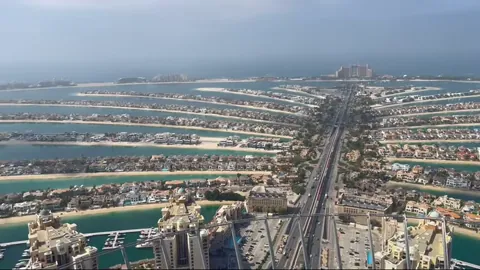 The View at The Palm — фото 3