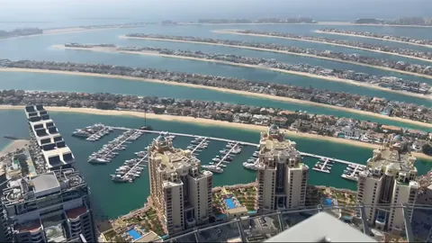 The View at The Palm — фото 4