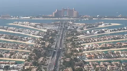 The View at The Palm — фото 5