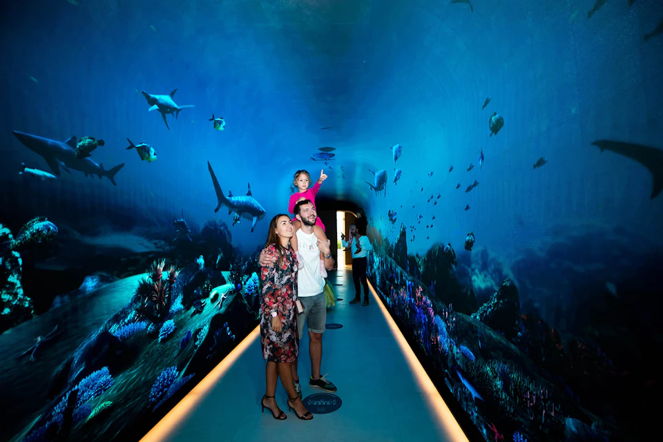 A family with a child on her father's shoulders walks through an aquarium tunnel surrounded by marine life.