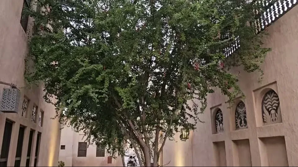 Best creekside promenade view at Al Shindagha Museum