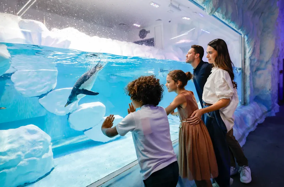 Dubai Aquarium