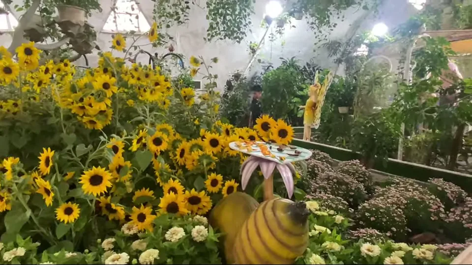 Dubai Butterfly Garden