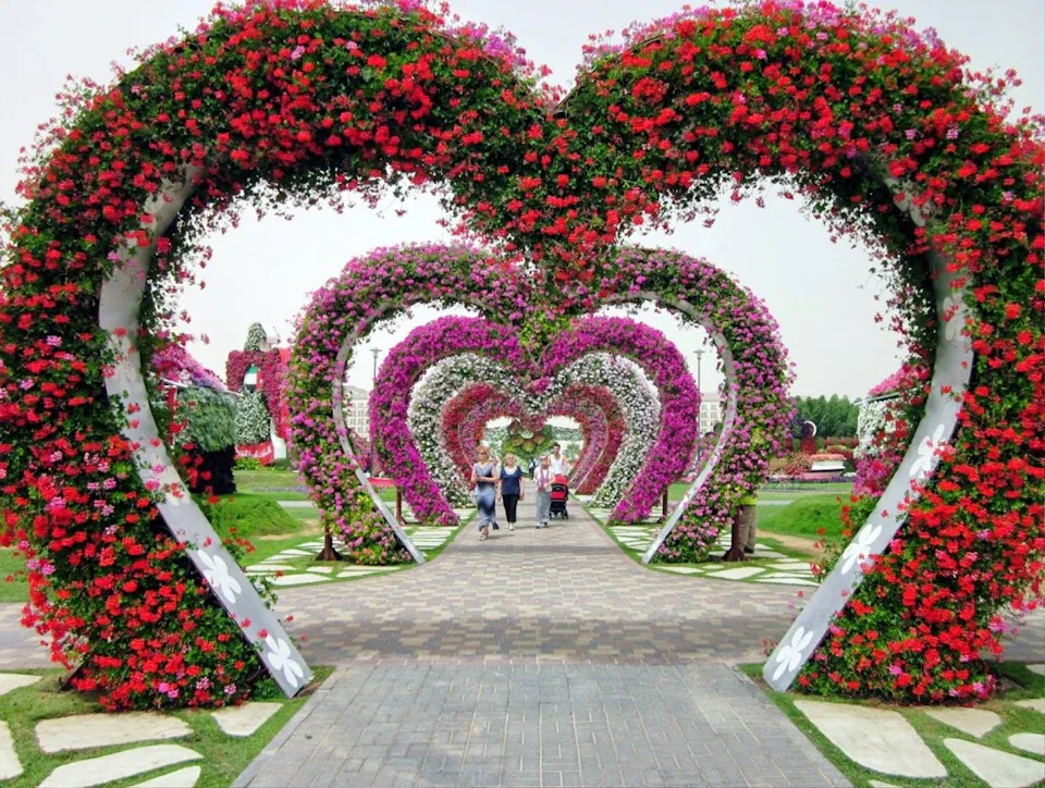 Dubai Butterfly Garden