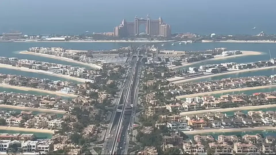 The View at the Palm